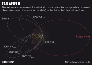 L'orbite possible de la "neuvième planète", et celle d'autres corps de la ceinture de Kuiper. Pour réaliser la distance, rappelez-vous que la Terre est à 1 unité astronomique du Soleil. Vous êtes autorisés à frissonner. Copyright : Nature